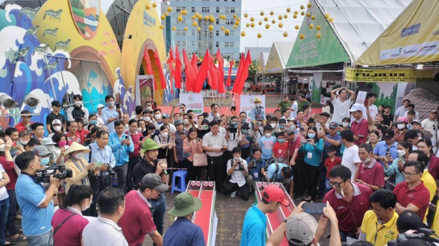 Crab race excites crowds in Ca Mau province